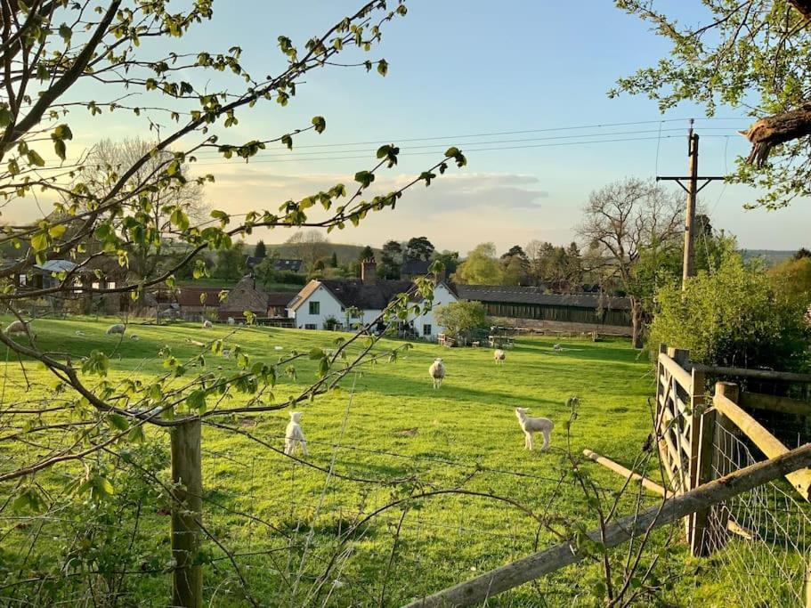 Apartmán The Cart House - Beautiful Contemporary Barn - Hot Tub Bridgnorth Exteriér fotografie